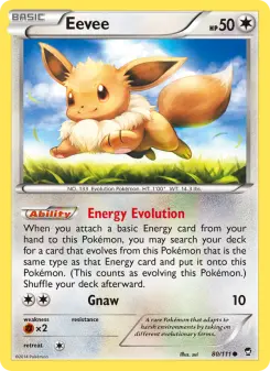 Eevee — Furious Fists
